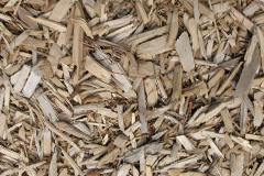 biomass boilers Wicklewood